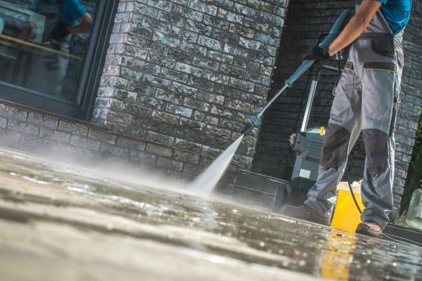Best Gutter Cleaning  in Gasport, NY