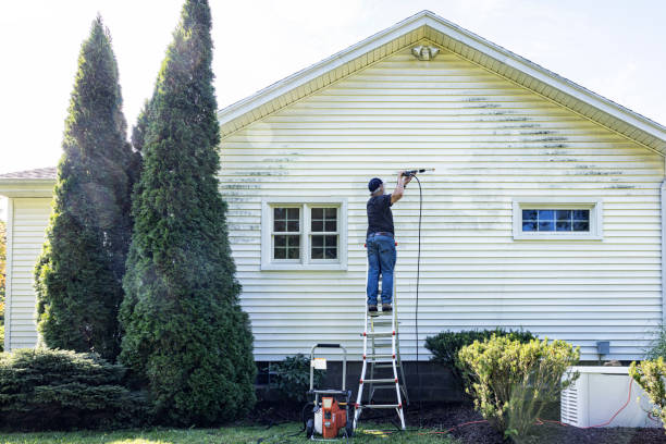 Best Spring Cleaning  in Gasport, NY